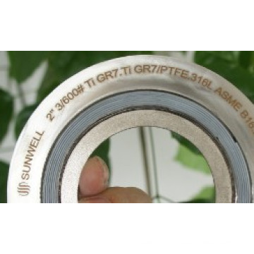 Special Materials Spiral Wound Gaskets Ti